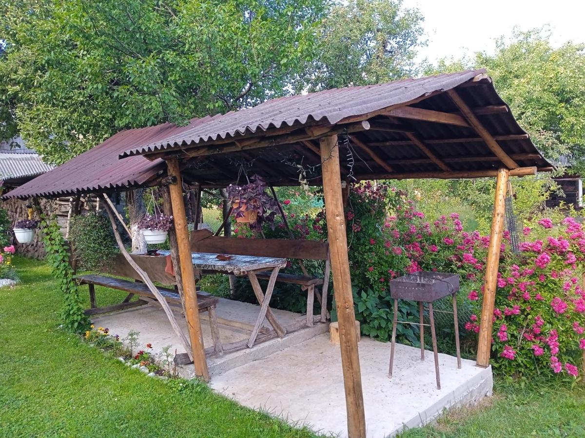 Penzion У Дядька Pilipets Exteriér fotografie