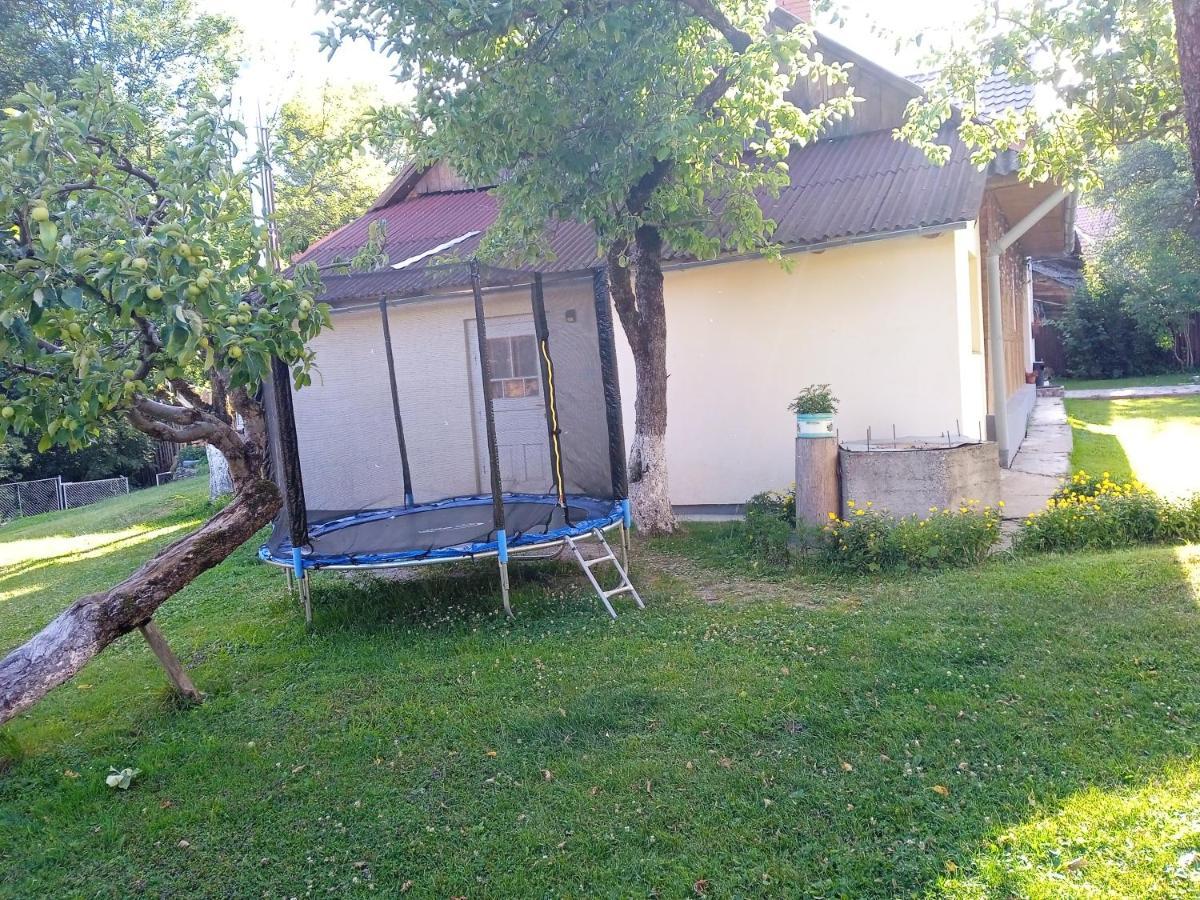 Penzion У Дядька Pilipets Exteriér fotografie