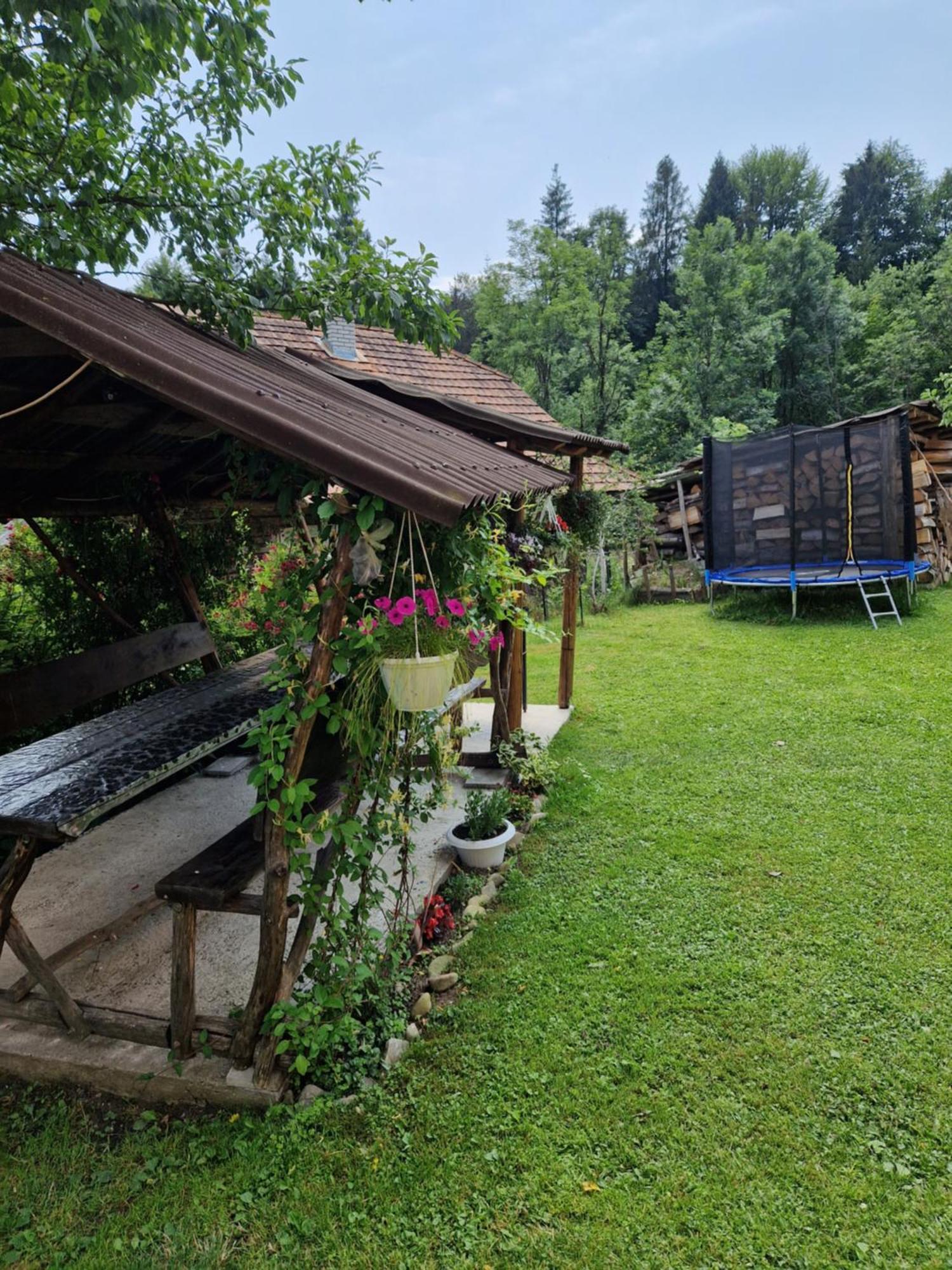 Penzion У Дядька Pilipets Exteriér fotografie