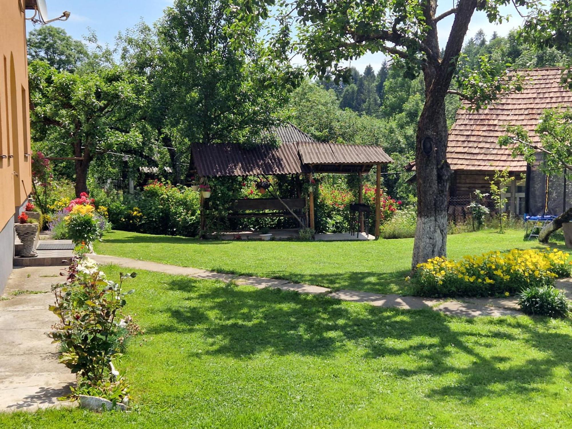 Penzion У Дядька Pilipets Exteriér fotografie